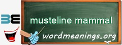 WordMeaning blackboard for musteline mammal